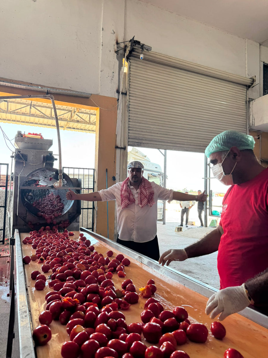 Şok Kampanya Paketi | 20 KG Biber Salçası + 10 KG Domates Salçası Hediye