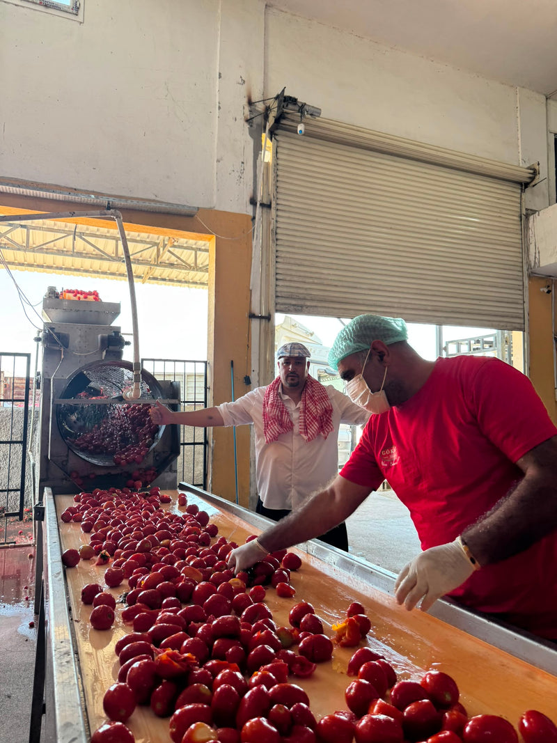 Şok Kampanya Paketi | 20 KG Biber Salçası + 10 KG Domates Salçası Hediye